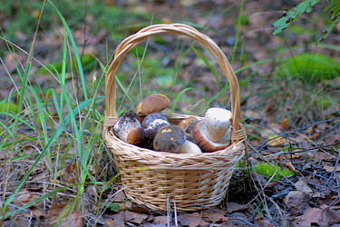 Similar image 21688519