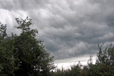 Similar image 21688520