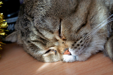 Similar image 21688522