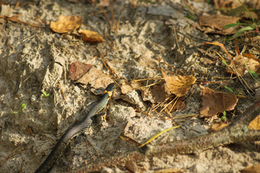 Similar image 21688523