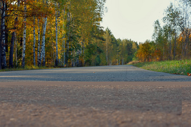 Similar image 21686748