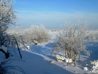 Similar image 21686750