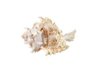 Similar image 21686753