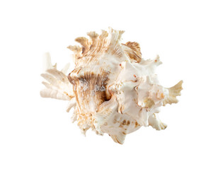 Similar image 21686755