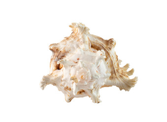 Similar image 21686756