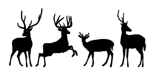 Similar image 21687051