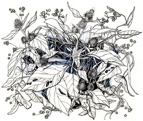 Similar image 21691140