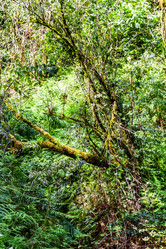 Similar image 21689189