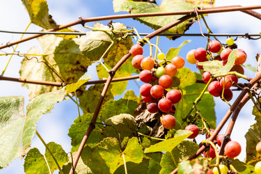 Similar image 21689464