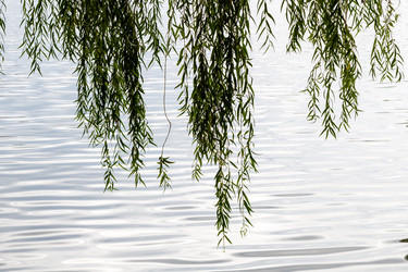 Similar image 21689471