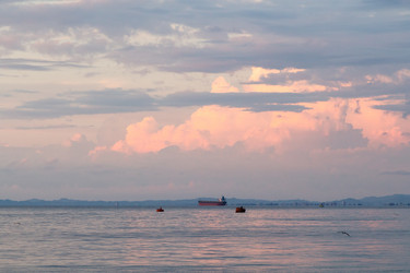 Similar image 21689495