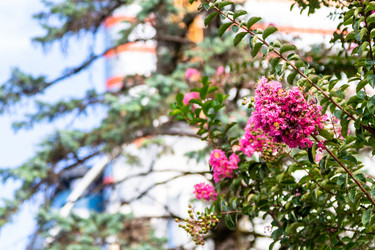 Similar image 21687387