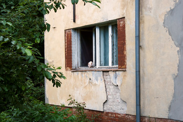 Similar image 21689209