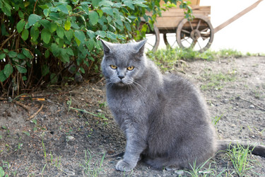 Similar image 21689214