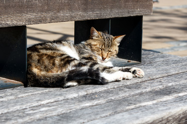 Similar image 21689215