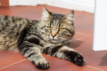 Similar image 21689216