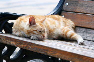 Similar image 21689217