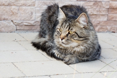 Similar image 21689222