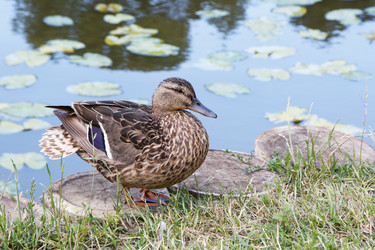 Similar image 21689226