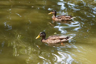 Similar image 21689227