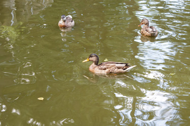 Similar image 21689228