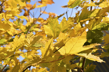 Similar image 21687056