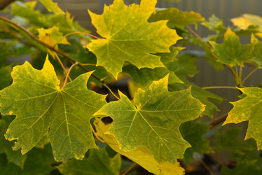 Similar image 21687057