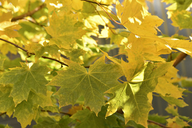 Similar image 21687058