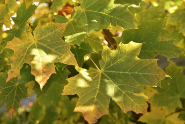 Similar image 21687059