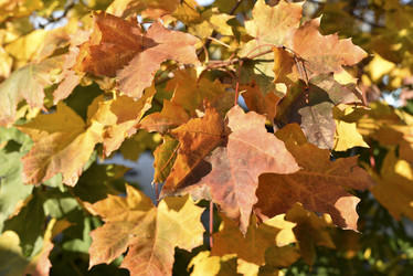 Similar image 21687061