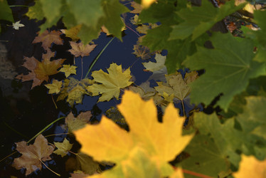 Similar image 21687063