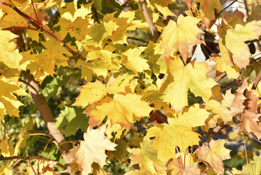 Similar image 21687064