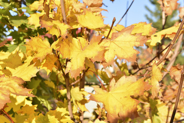 Similar image 21687065