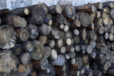 Similar image 21687079