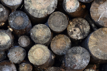 Similar image 21687085