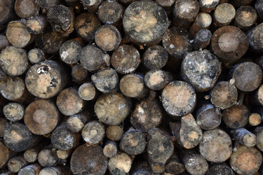 Similar image 21687089