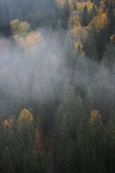 Similar image 21687099