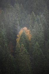 Similar image 21687101