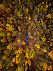 Similar image 21687108