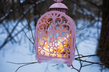 Similar image 21688317