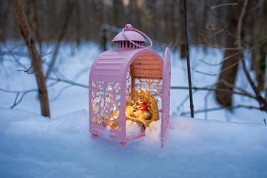 Similar image 21688318