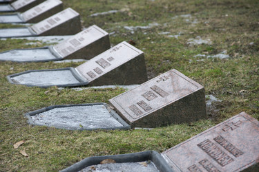 Similar image 21690314