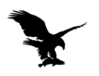 Similar image 21687110