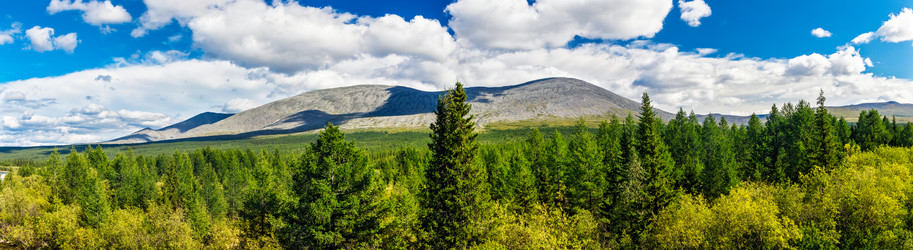 Similar image 21688130