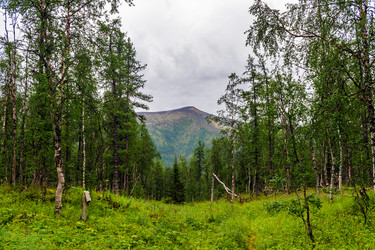 Similar image 21688132