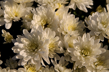 Similar image 21694120