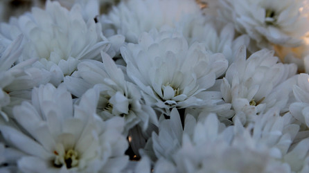 Similar image 21694121