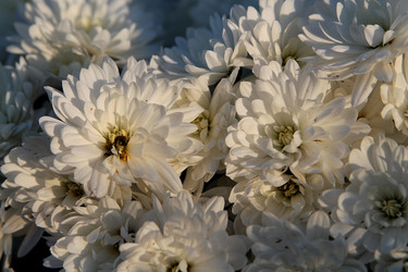 Similar image 21694123