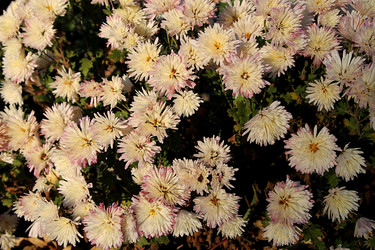 Similar image 21694126