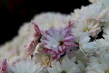 Similar image 21694128